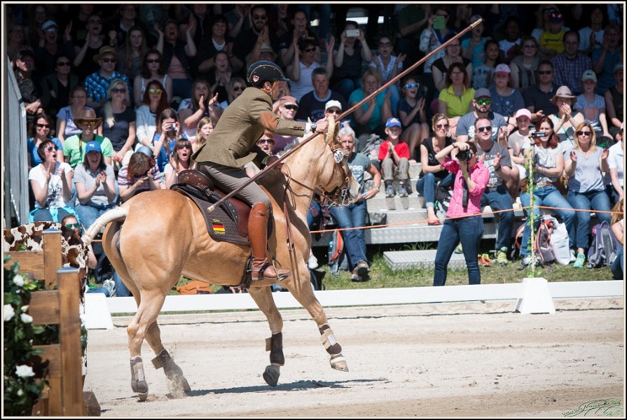Pferd International 138